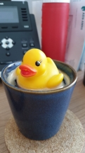 handy-clean-oude-logo-bad-eend