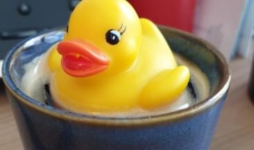 handy-clean-oude-logo-bad-eend handy-clean-oude-logo-bad-eend