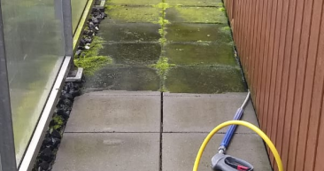 groene aanslag verwijderen